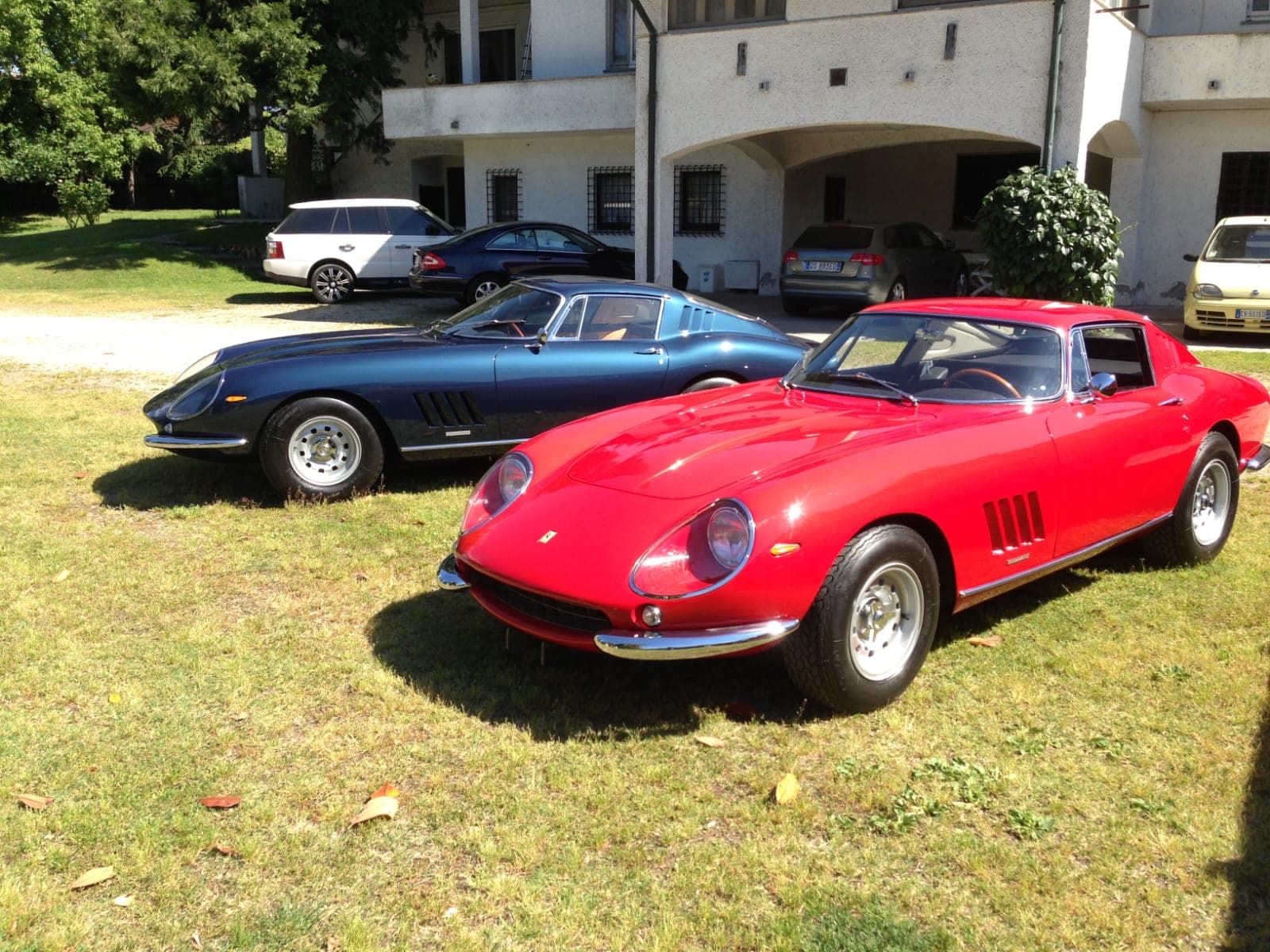 Red and blue vintage Ferrari 275 GTB cars parked on a sunny grassy lawn.